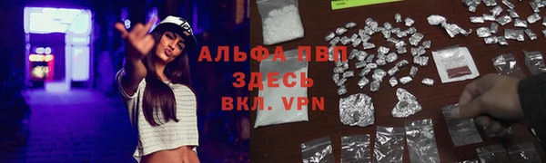 метадон Алексин