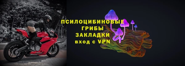 метадон Алексин