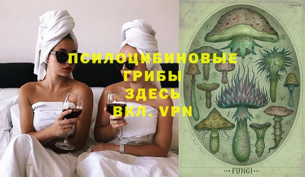 МДПВ Липки