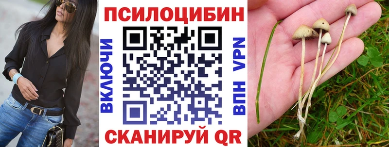 Галлюциногенные грибы Cubensis  OMG ONION  Ейск 
